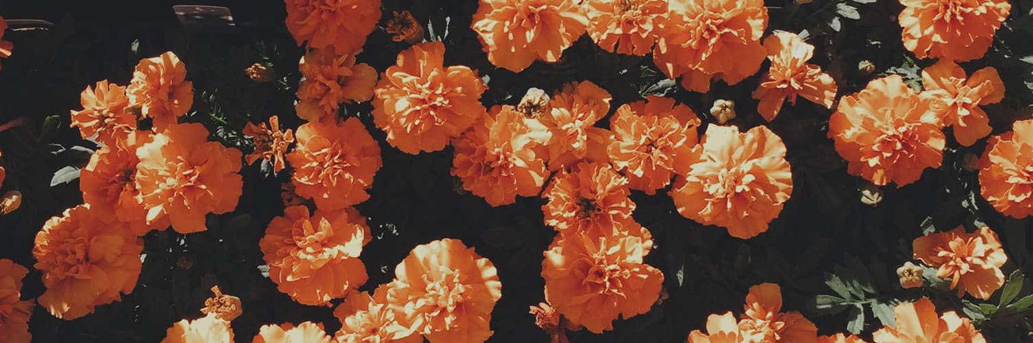 abeltjeskrant's profile banner image
