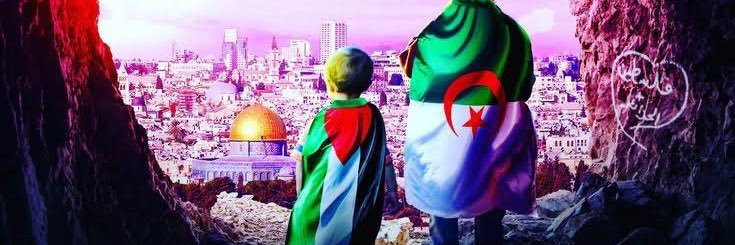 moha_zef's profile banner image