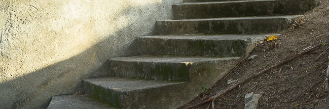 moringa's profile banner image