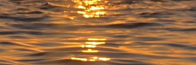AndreaMarimn2's profile banner image