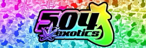 504exotics Profile Banner