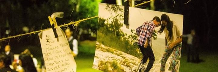 RiedelDai's profile banner image