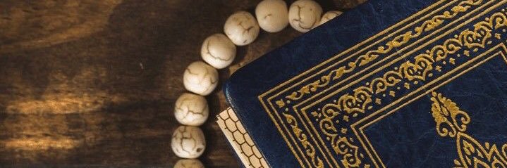 Torello_Montano's profile banner image