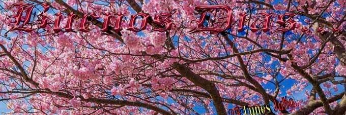 margaga73's profile banner image