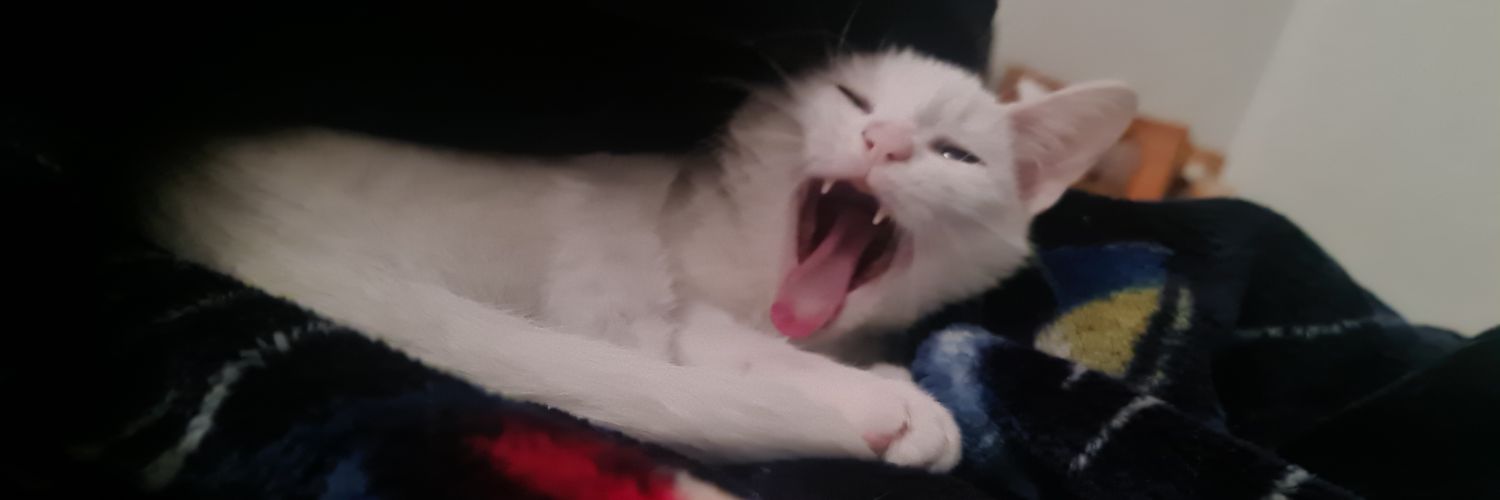 MorganaFallow's profile banner image