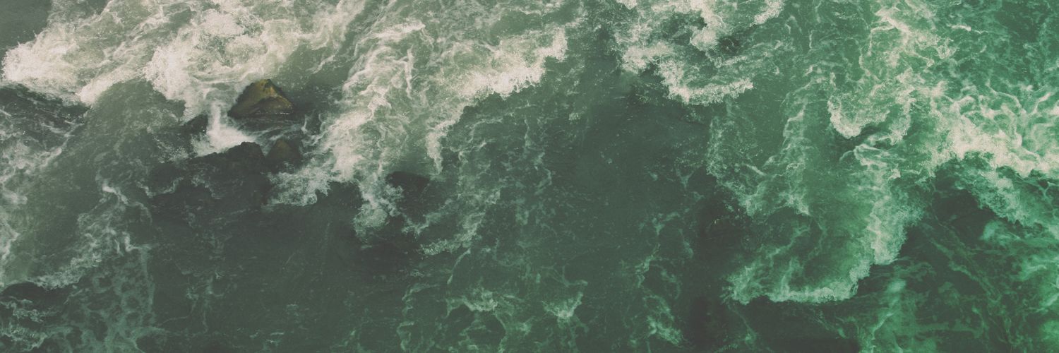 nevesneto's profile banner image