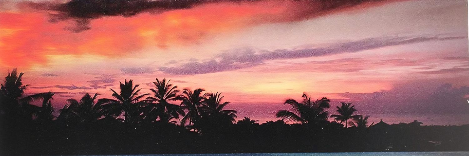 Alwafi527's profile banner image