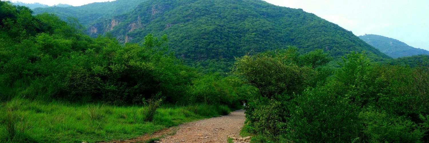 hbrinpak's profile banner image