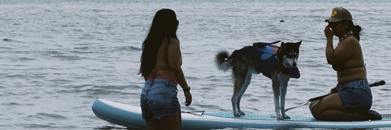 janinepips's profile banner image
