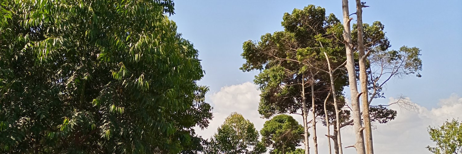 joszake's profile banner image