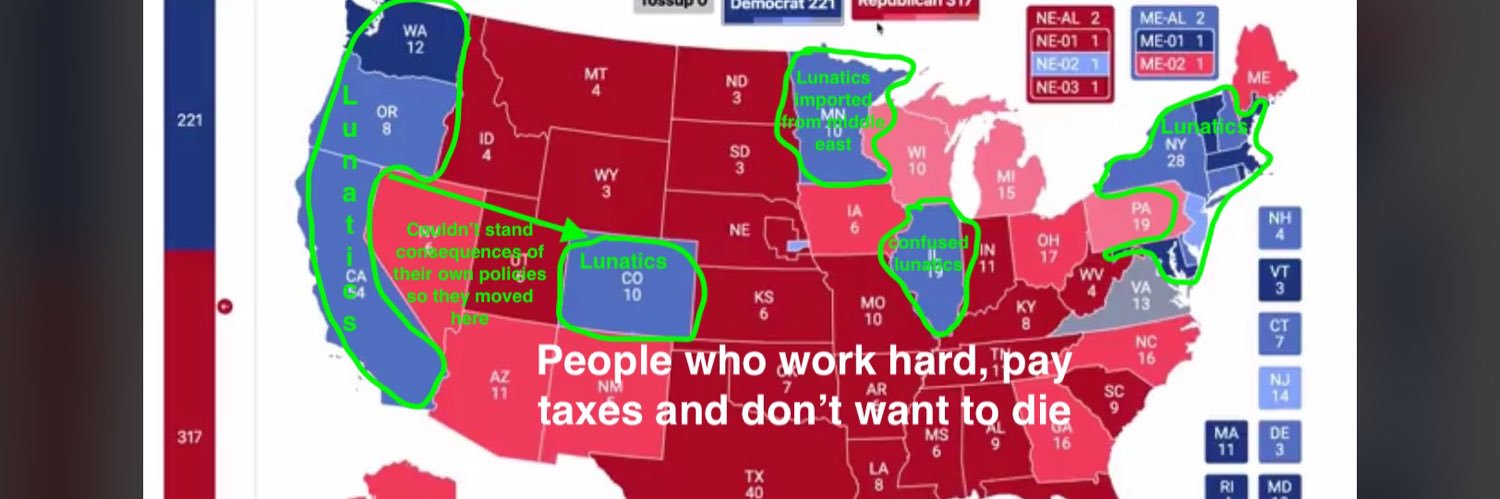 Angelenos for Trump👊 (Theresa 🇺🇸☺️) banner