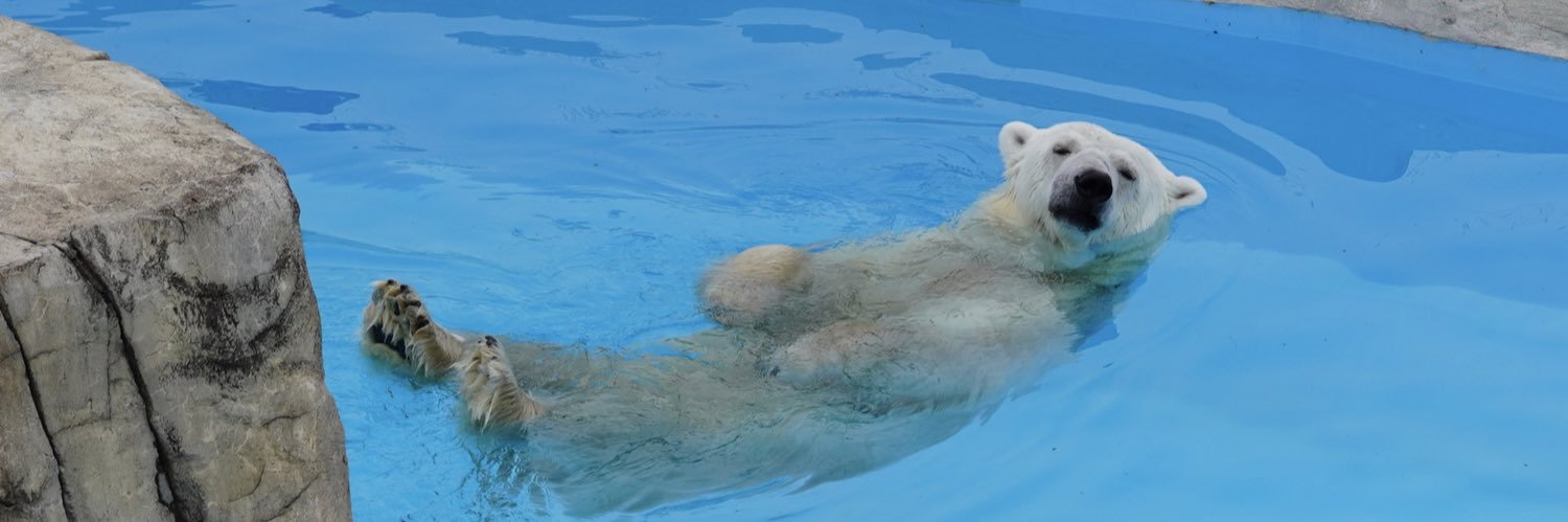 Mariners51ichiro banner