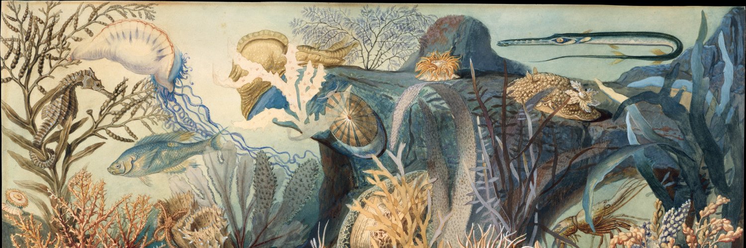 Science Write Now banner