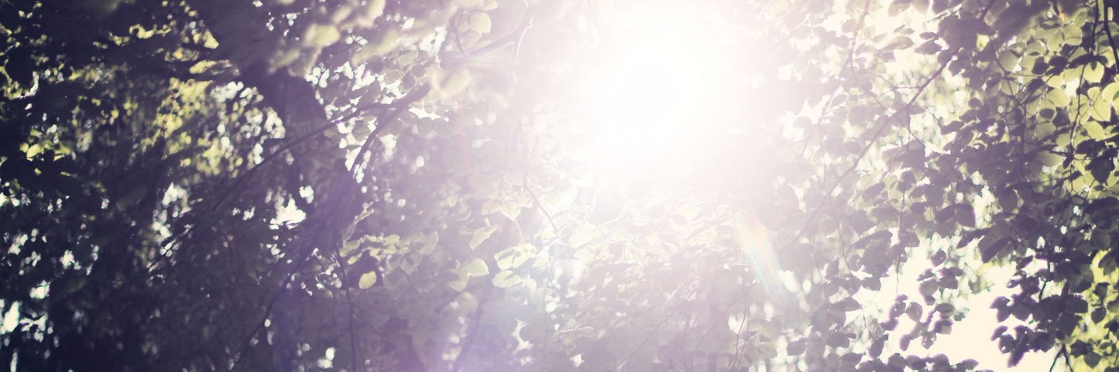 __Medicgina's profile banner image