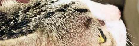 effiiye's profile banner image