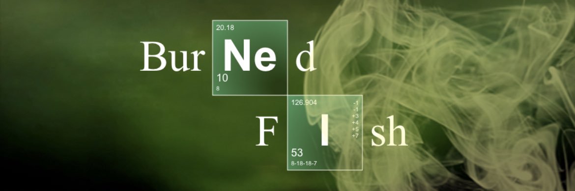 burned_fish's profile banner image