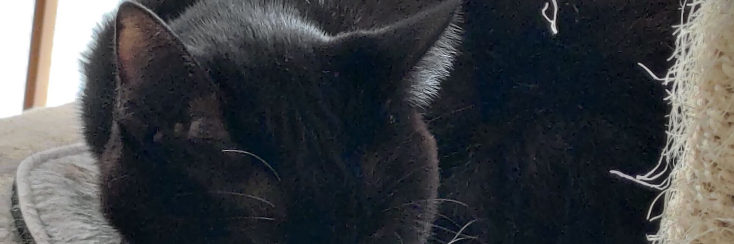 memesuke_2012's profile banner image