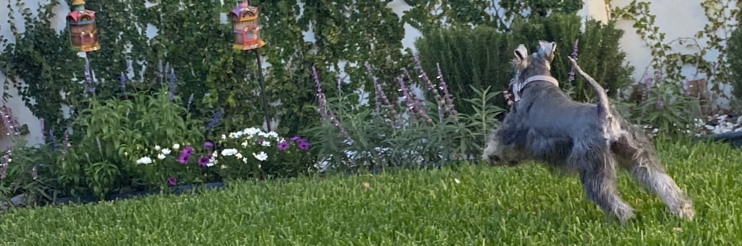 fernandaboone's profile banner image