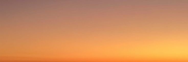 lissa mariee banner