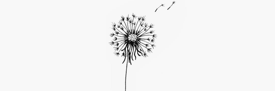 R banner