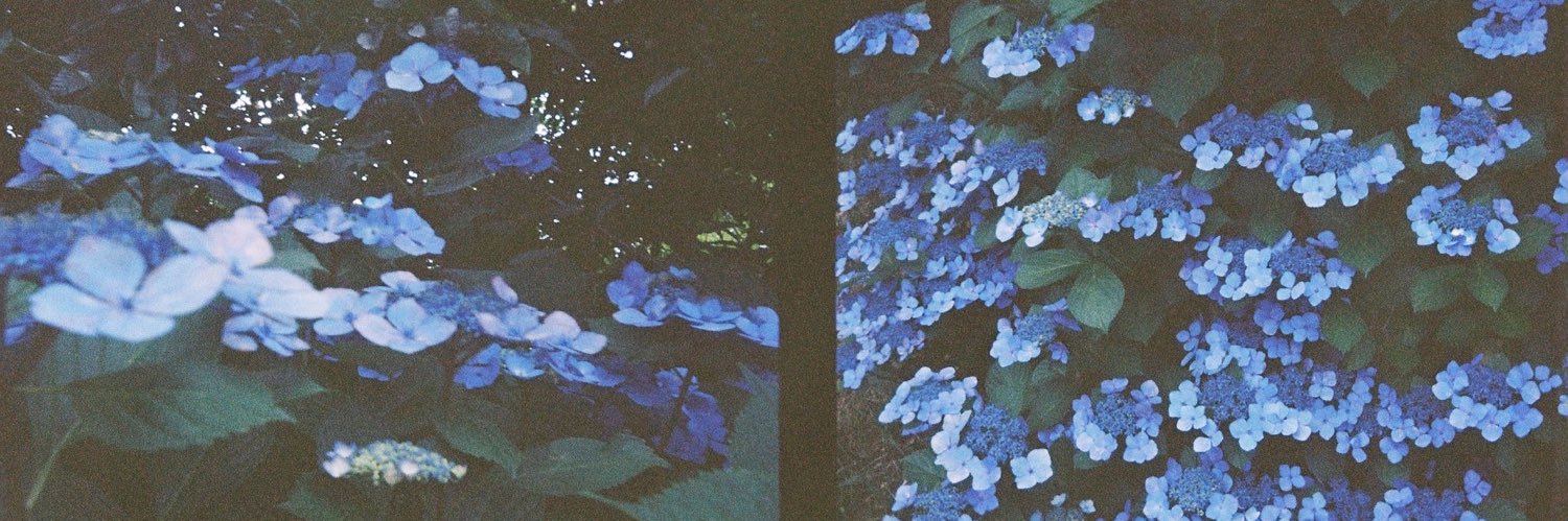 _i_my_moco_'s profile banner image