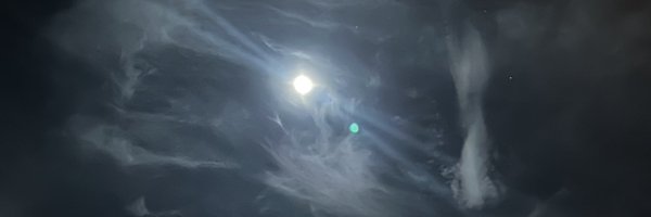 __aylins Profile Banner