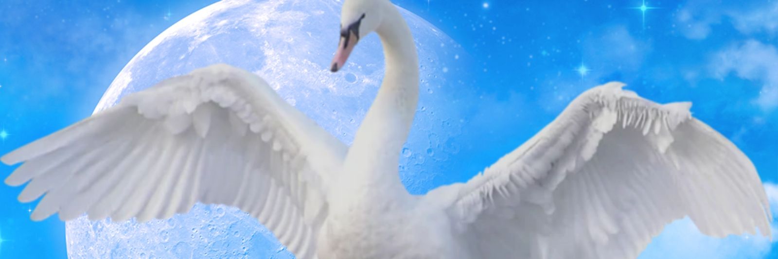 DisneySwan1990 banner