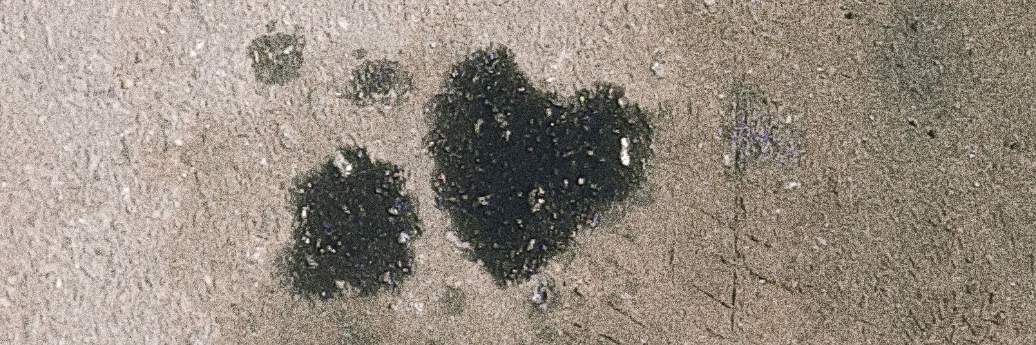 muerdo y lastimo banner