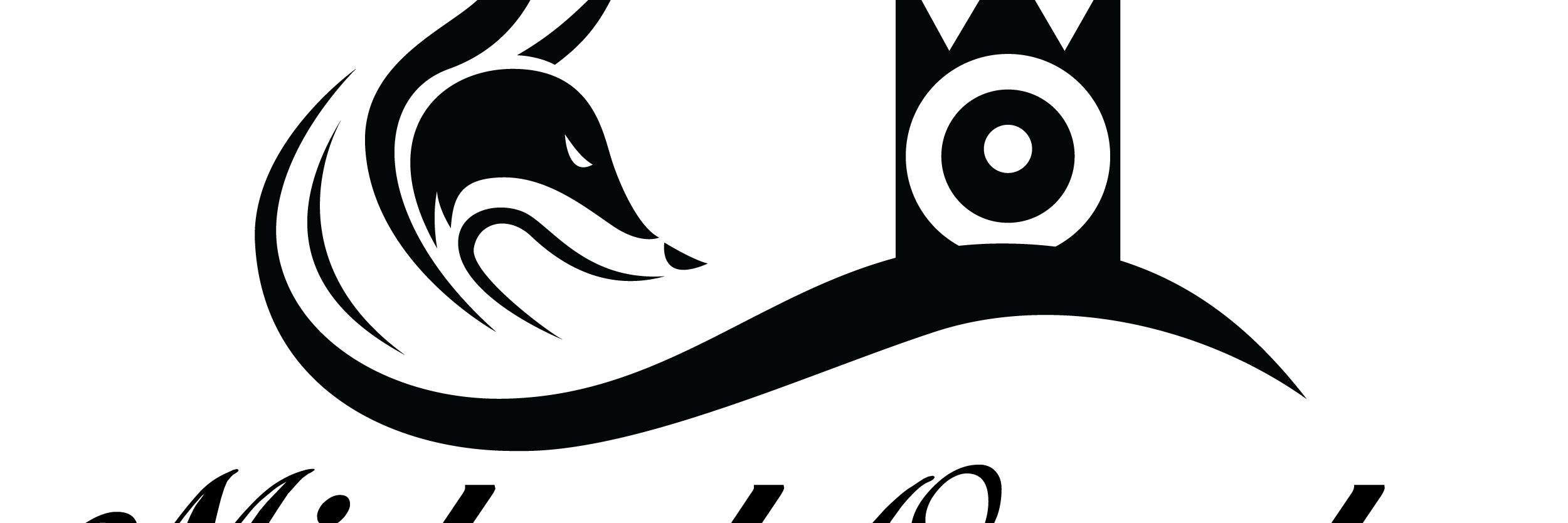 damusicfox's profile banner image