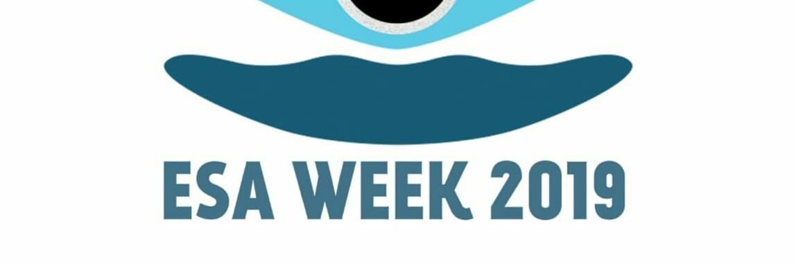 esaweek's profile banner image