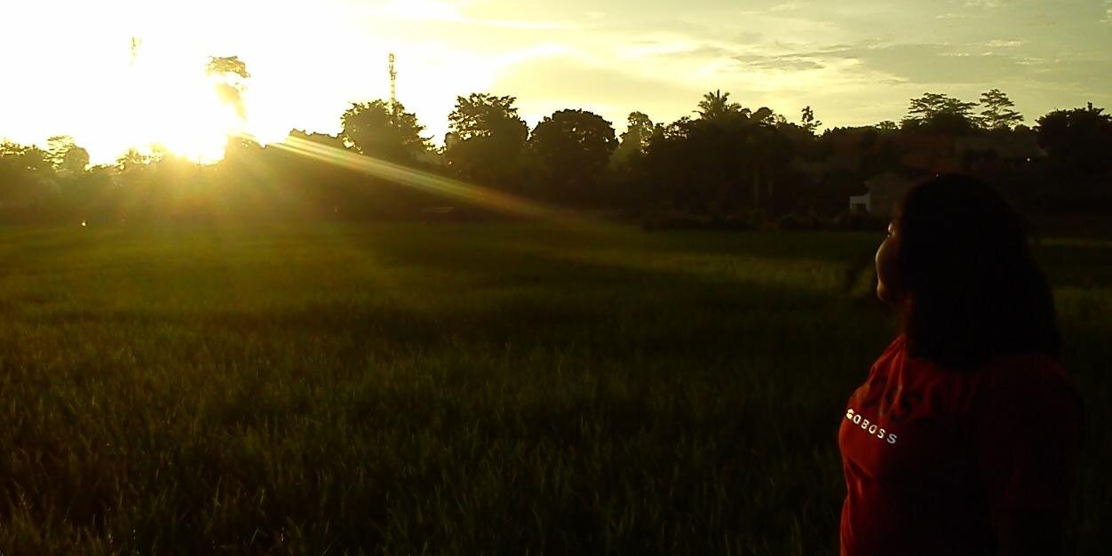 Ryane banner