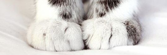 baddestyul's profile banner image