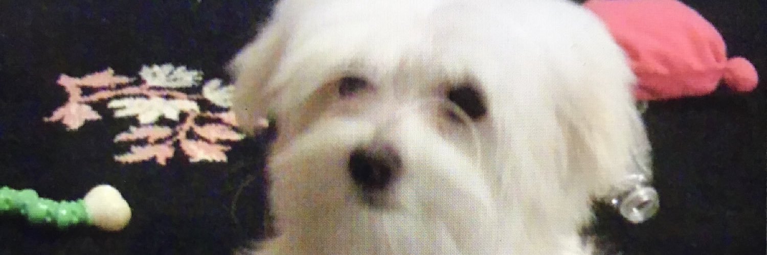 ridgeherd's profile banner image