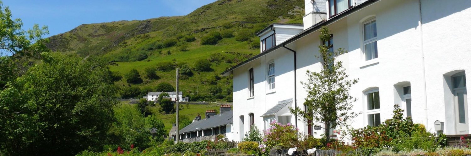 gwynfabach's profile banner image