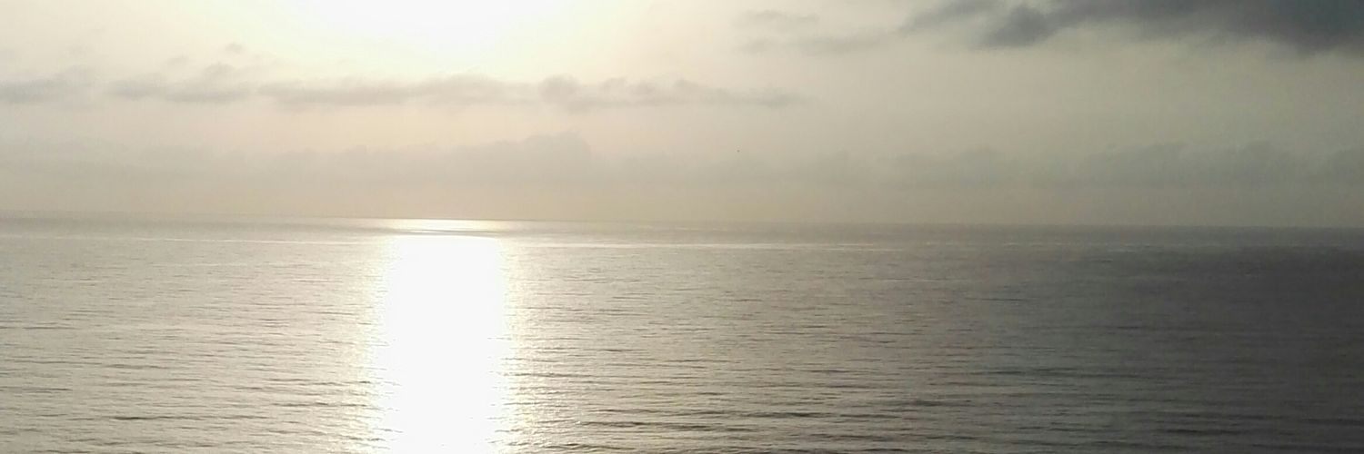 Alvaro Rodríguez-Lescure González banner