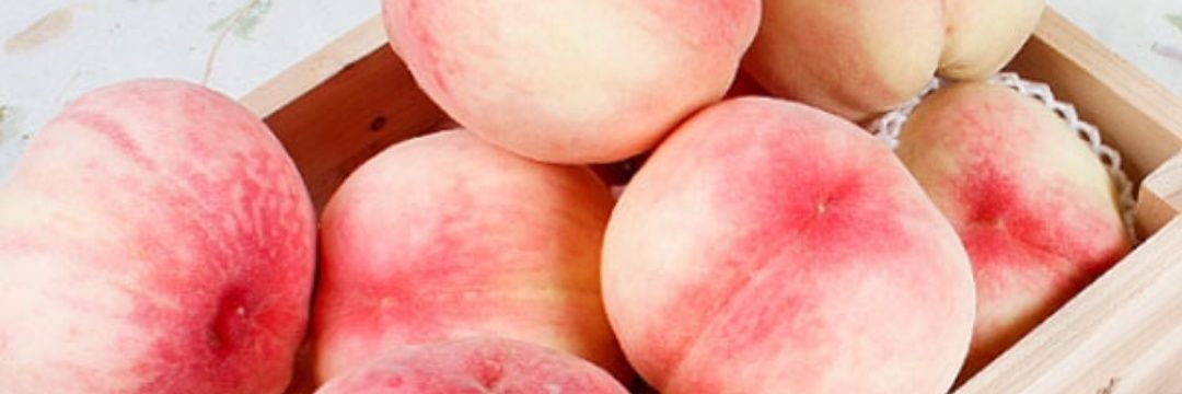 릴리아나 알테스 banner