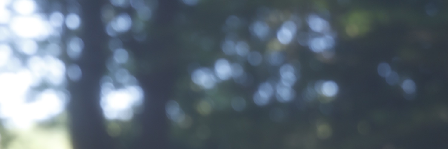 tappei0122's profile banner image