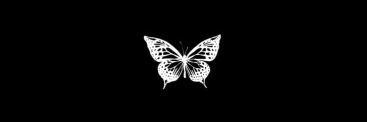 _taei's profile banner image