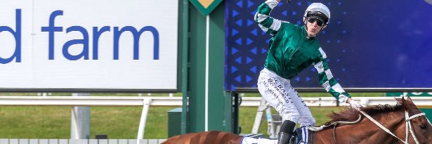 NZ TRIAL WATCHER 🐎 🇳🇿 banner