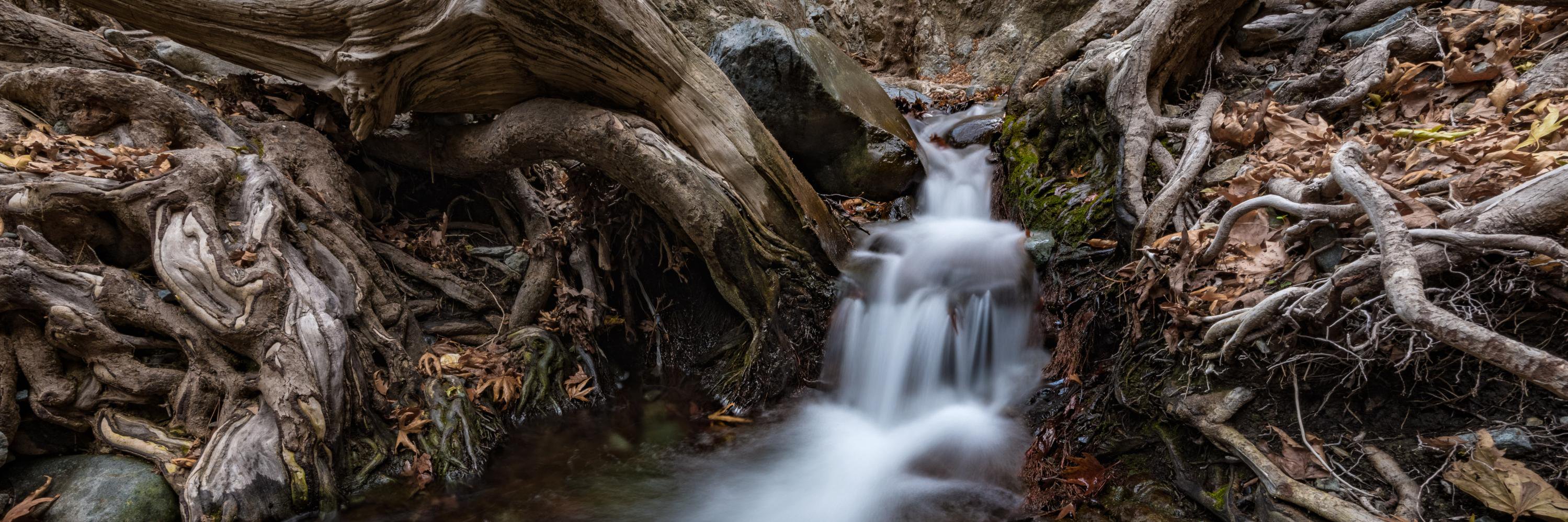 Christos Zoumides banner