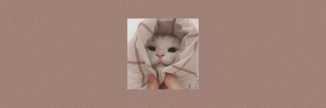 •FUJI• banner