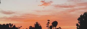 ignaceab's profile banner image