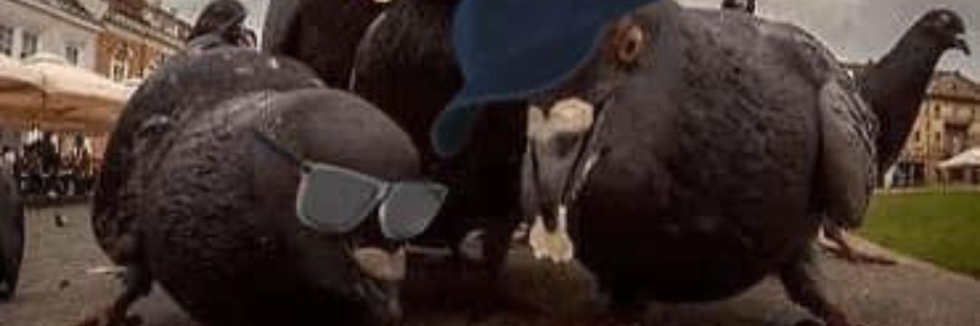 ga_stropodo's profile banner image
