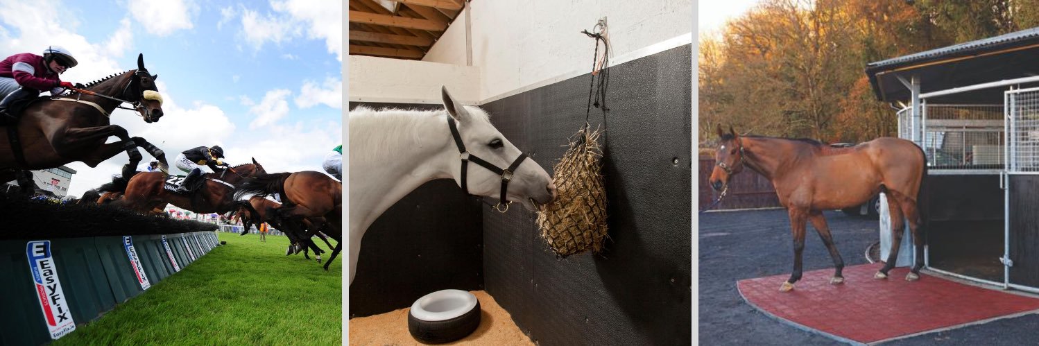 EASYFIX Equine banner