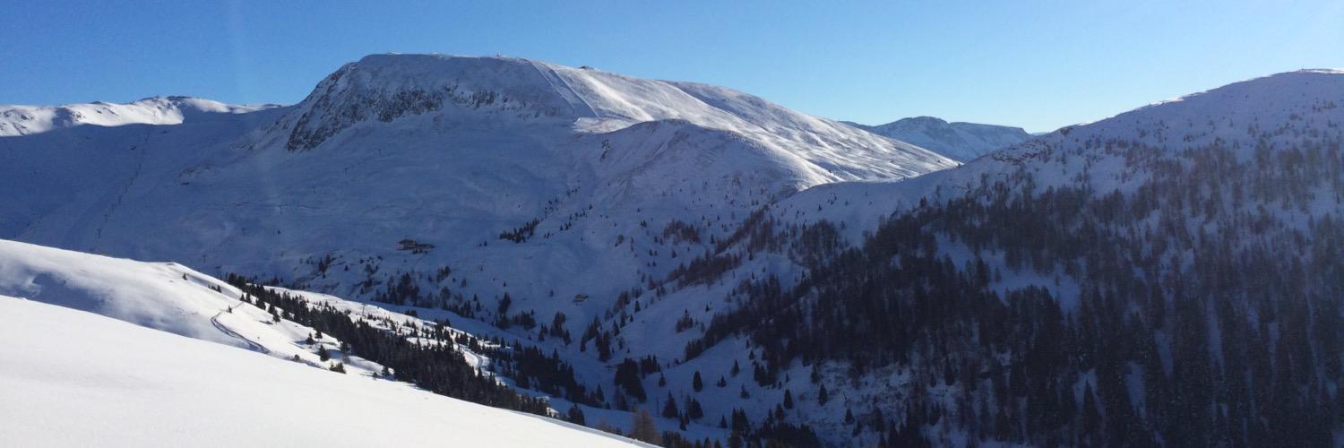 Michael Hillebrand banner