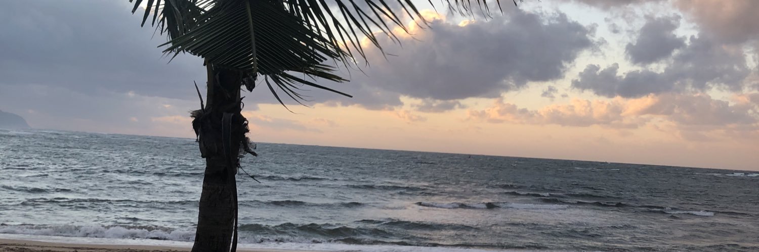 contestforuniv's profile banner image