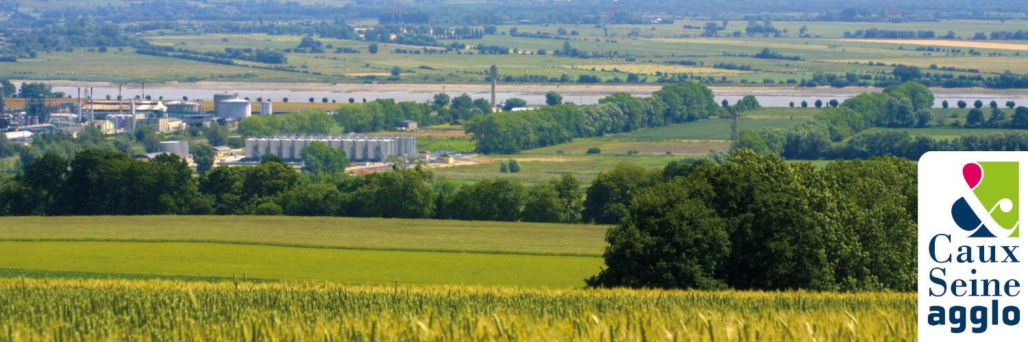 Virginie Lutrot banner