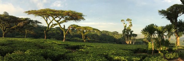 MalawiConsulate Profile Banner