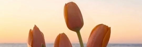 worasetsak's profile banner image