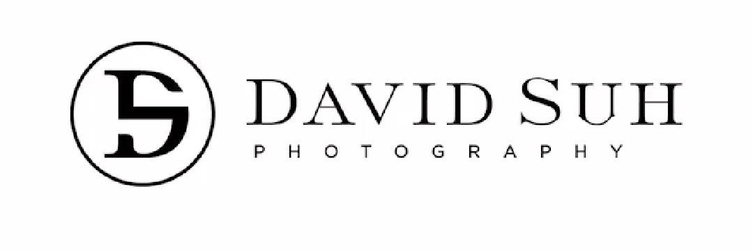 David Suh banner